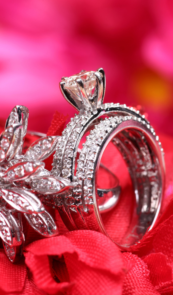 Два кольца с камнями лежат на цветке 