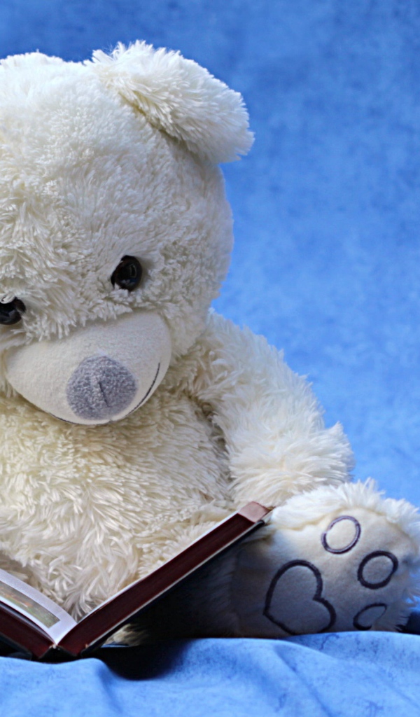 Белый плюшевый мишка с книгой на голубом фоне 