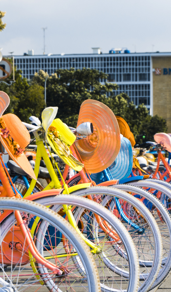 Женские велосипеды со шляпками стоят в ряд 