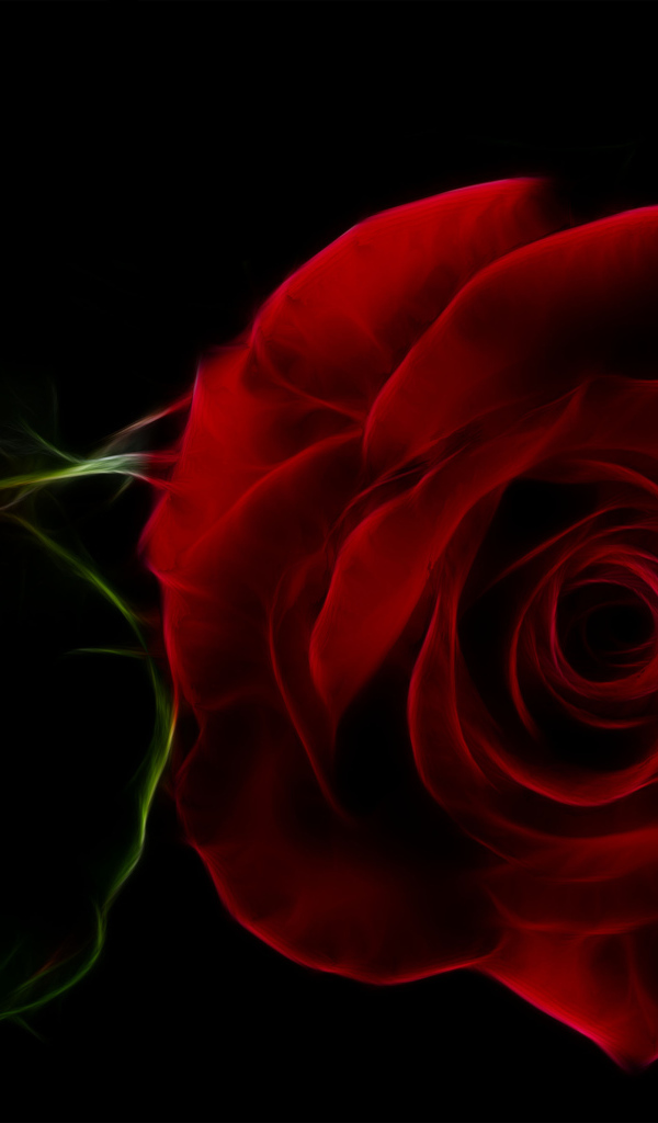 Нарисованная красная роза на черном фоне