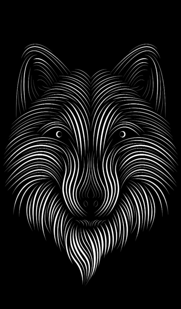 Нарисованный белый волк на черном фоне