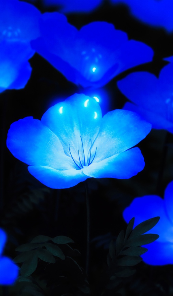 Красивые фантастические голубые цветы 