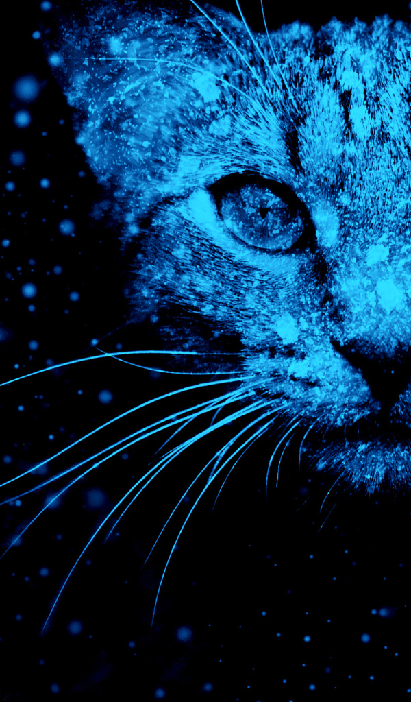 Неоновый фантастический кот на черном фоне 