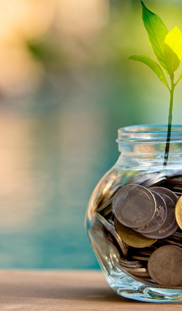 Зеленый росток прорастает из копилки 