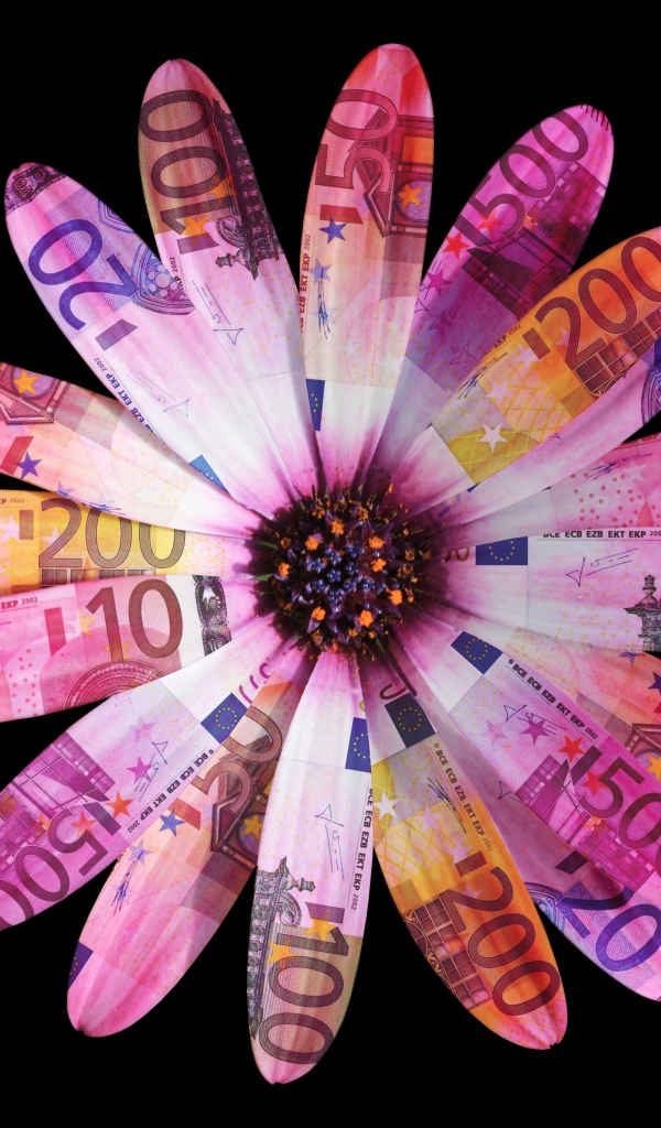 Цветок из купюр евро на черном фоне