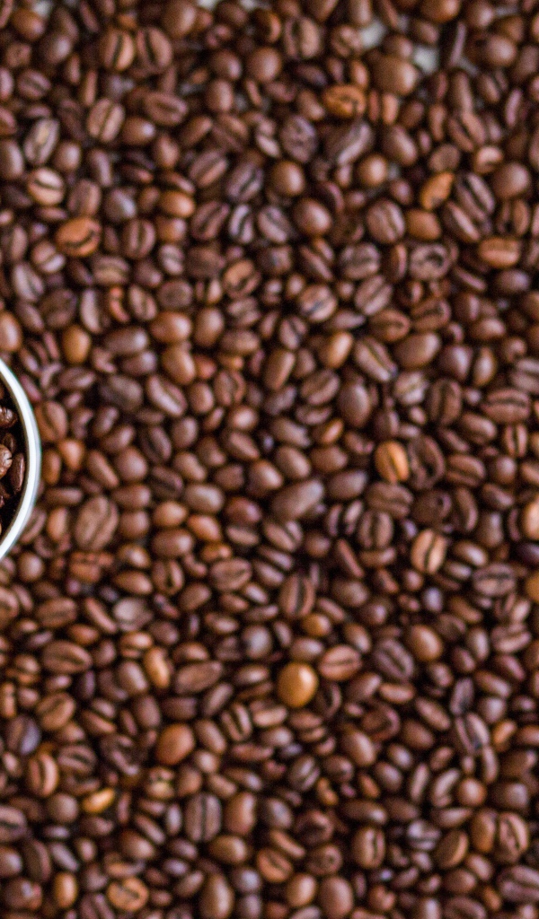 Чашка с кофейными зернами стоит на зернах 