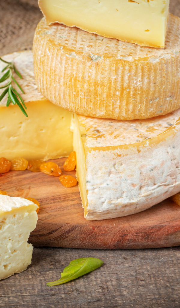 Сыр с плесенью на столе с хлебом и творогом