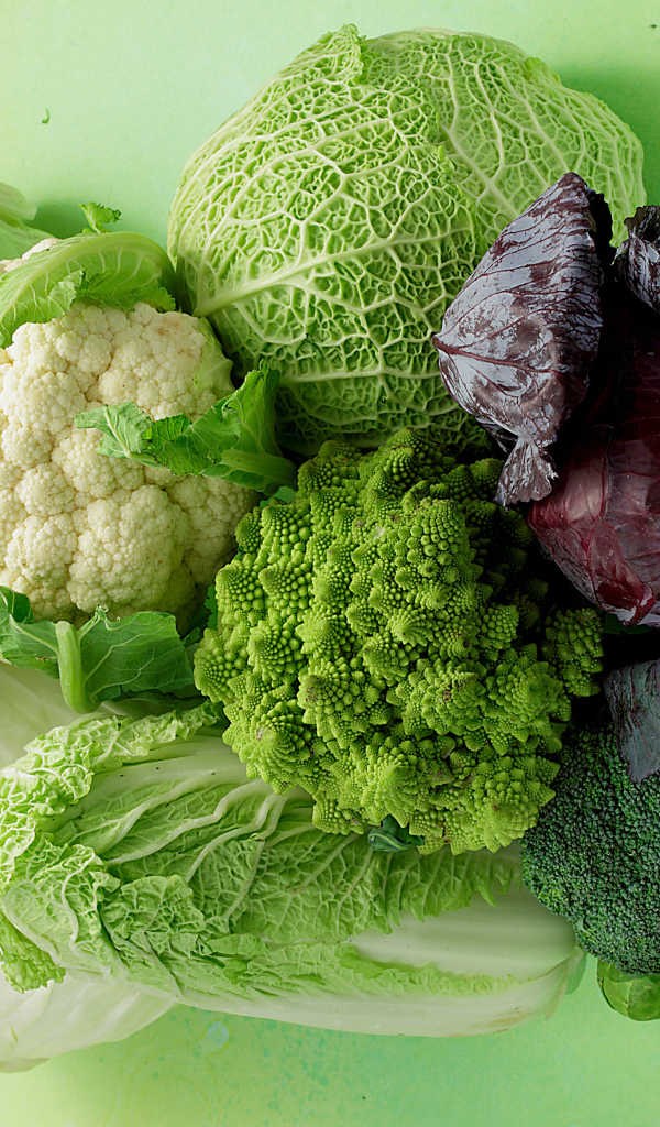 Разные виды капусты на зеленом фоне крупным планом