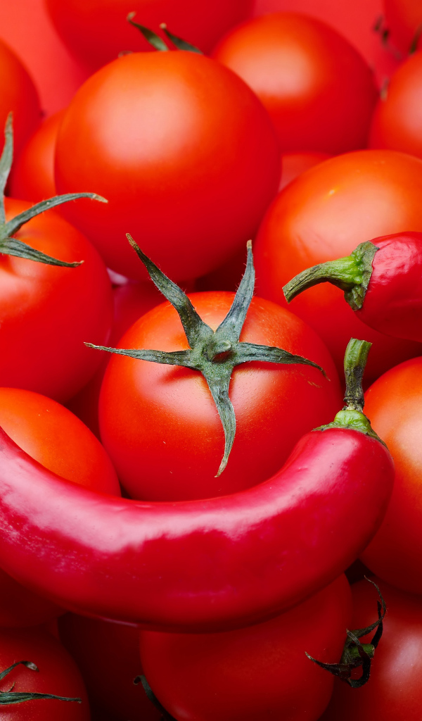 Много красных помидоров с красным перцем крупным планом