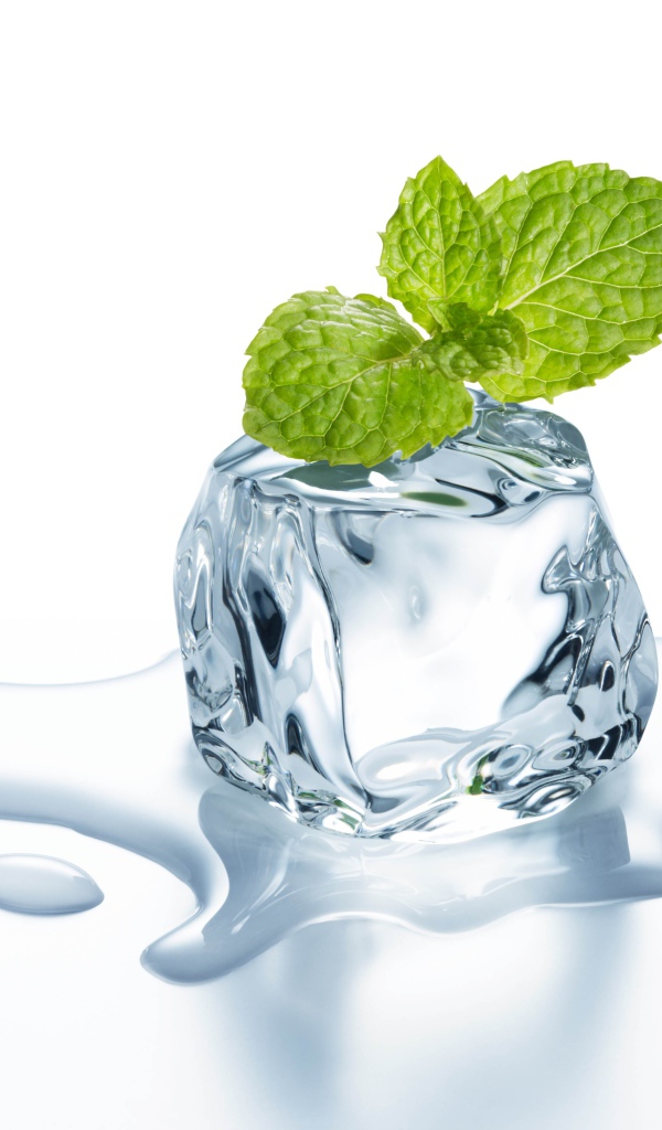 Тающий кубик льда с листиком мяты на белом фоне