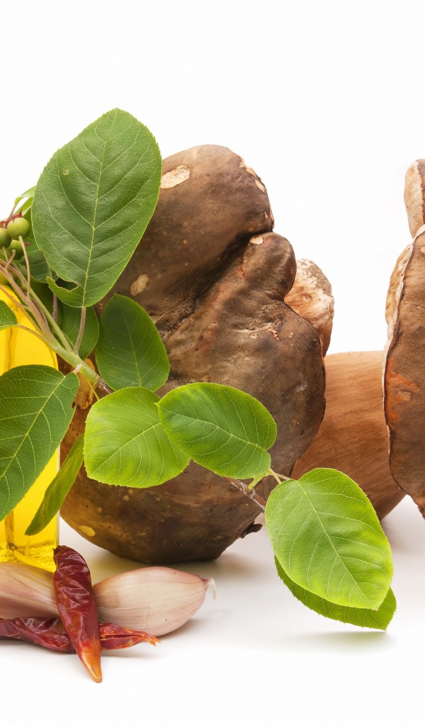 Грибы на белом фоне с оливковым маслом и чесноком