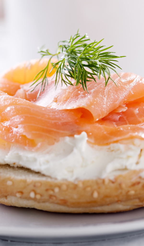 Бутерброд с сыром и красной рыбой на белой тарелке