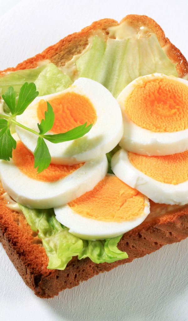 Toast with leaf of lettuce and pieces of egg on a white plate