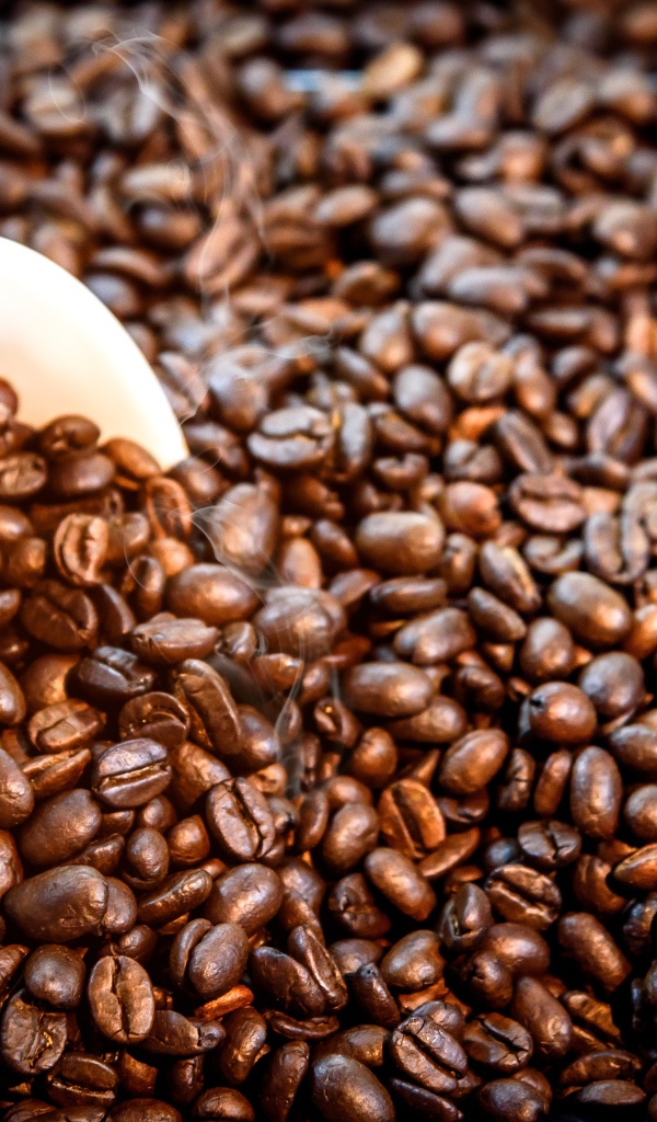 Белая чашка с жареными кофейными зернами