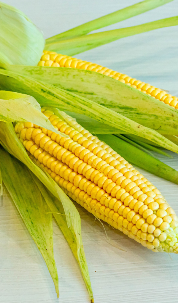 Желтые початки кукурузы с зелеными листьями на столе