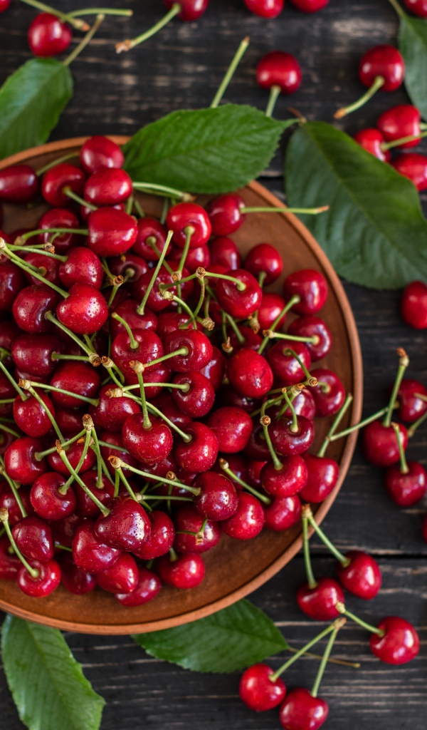 Много спелой красной черешне в миске на столе