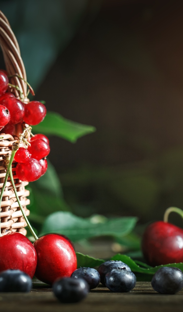 Корзина с ягодами черники, малины, красной смородины и черешни