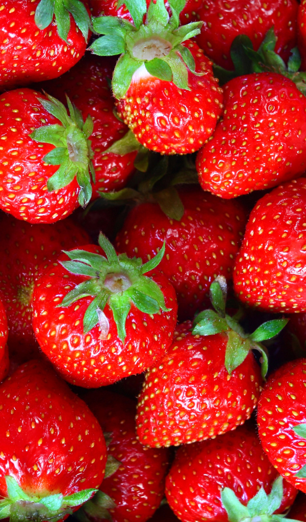 Красивая красная спелая клубника крупным планом