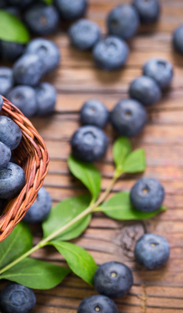 Синие ягоды черники в корзинке на столе