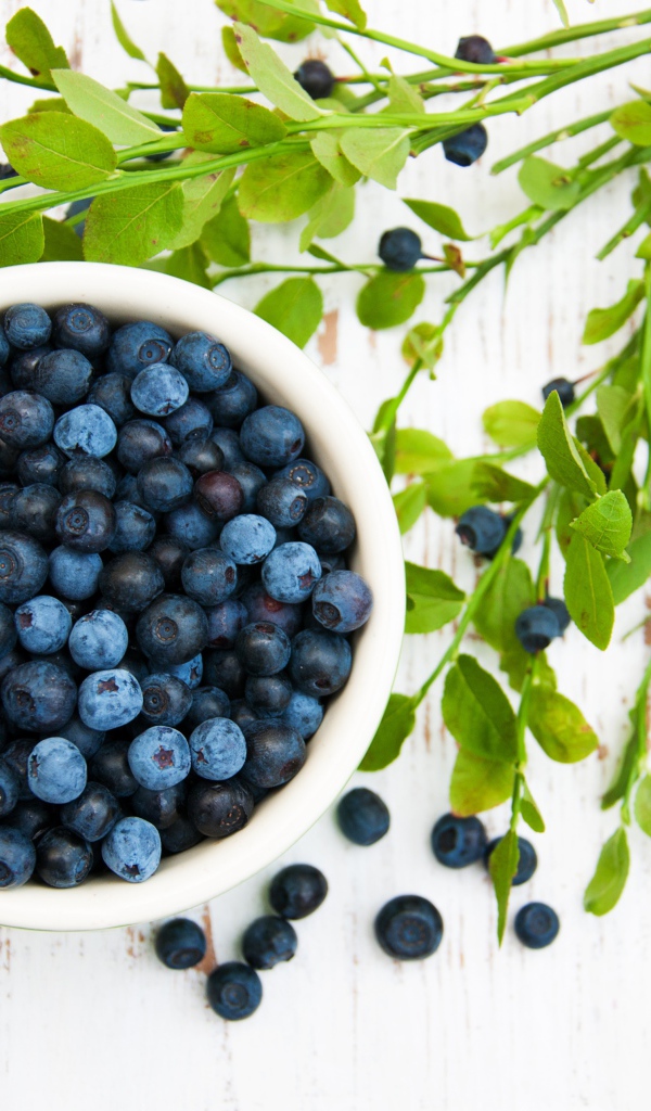 Свежие ягоды черники на столе с ветками