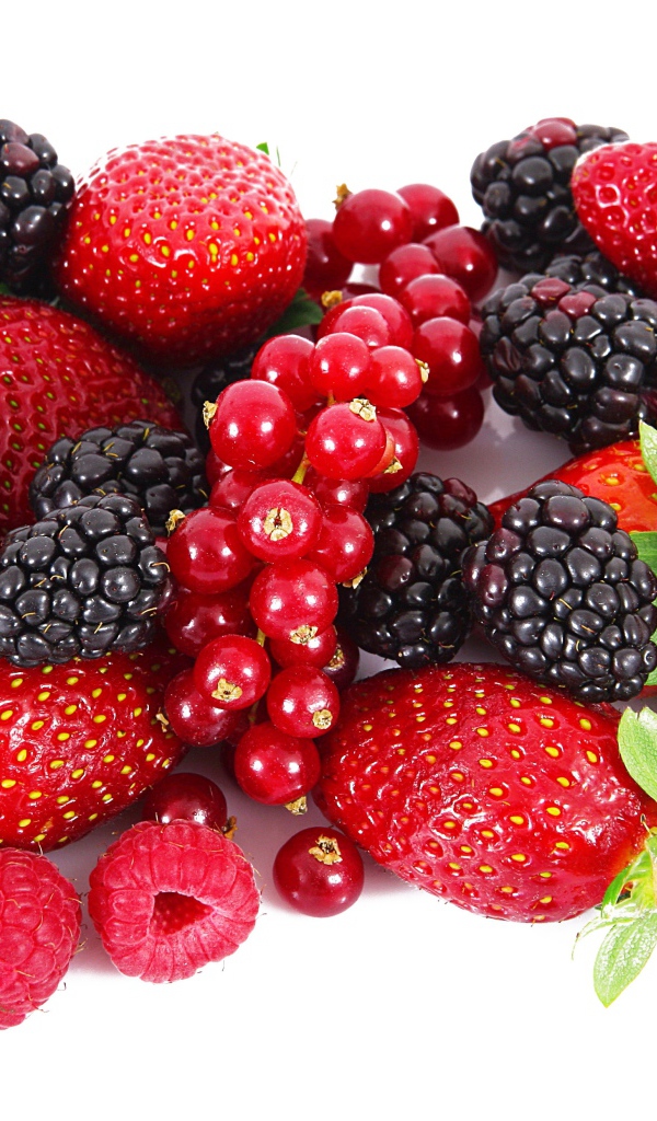 Свежие спелые ягоды клубники, черники, смородины и малины на белом фоне