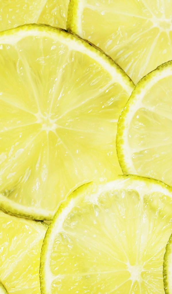 Кружочки лайма крупным планом