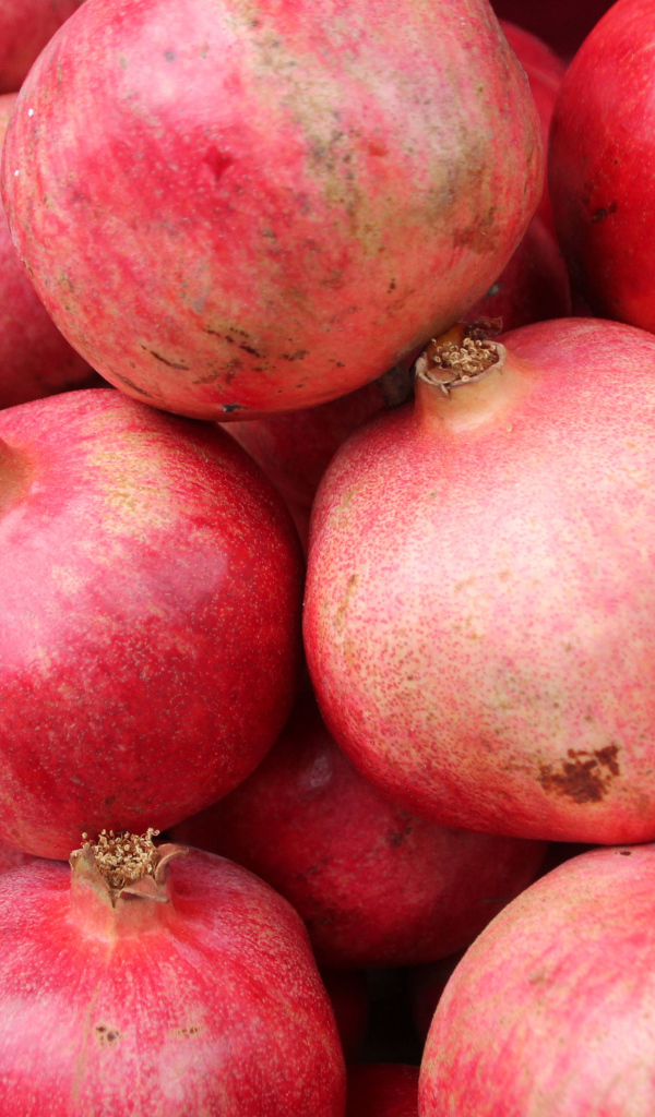 Много красных плодов граната крупным планом