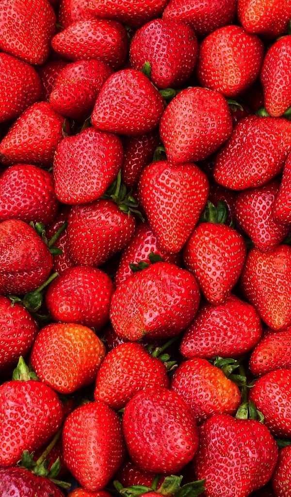 Много вкусной сладкой клубники крупным планом