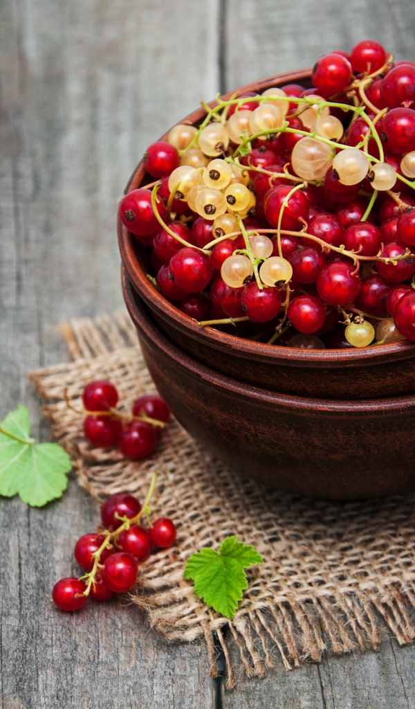 Красная и желтая смородина в миске на столе