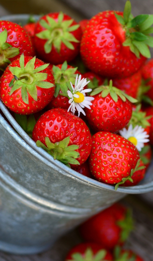 Спелая красная клубника в маленьком ведре на столе 