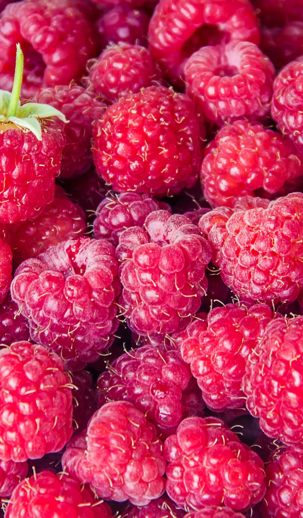 Вкусная спелая малина крупным планом