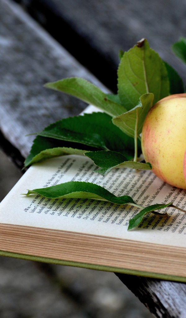 Два яблока лежат на книге на деревянной лавке
