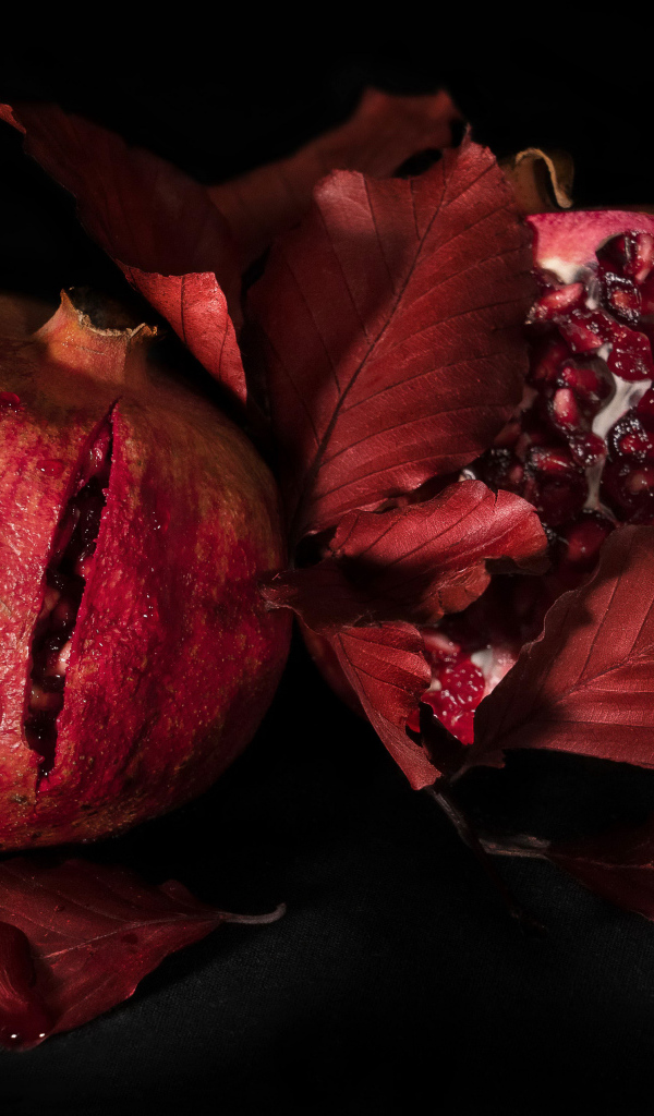 Два красных граната на черном фоне