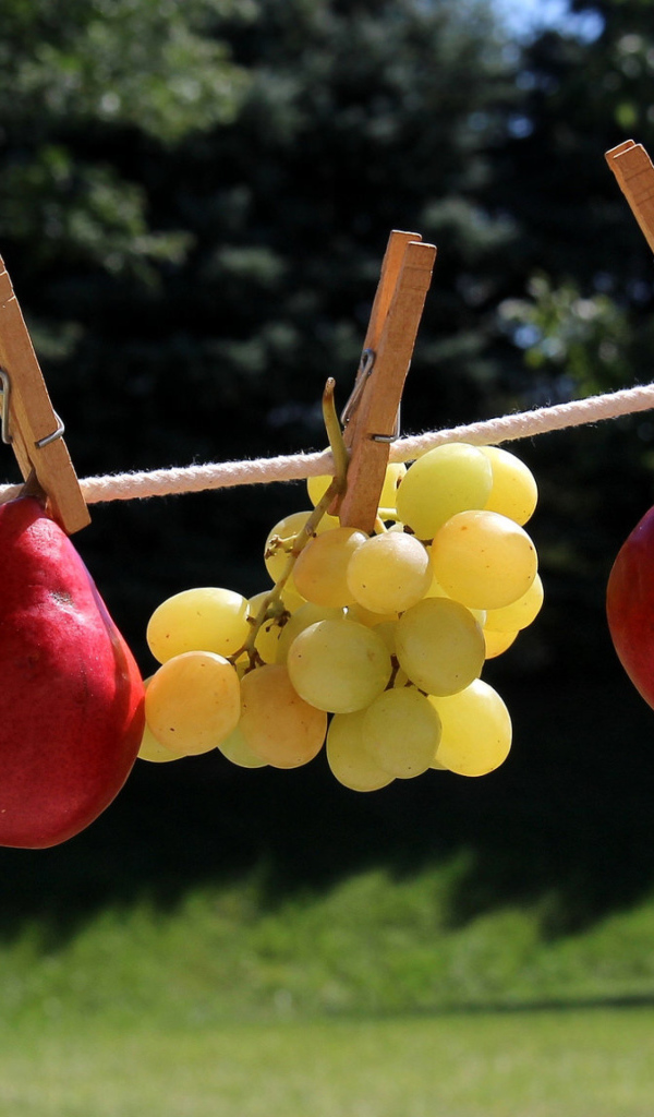 Белый виноград и красные груши на веревке