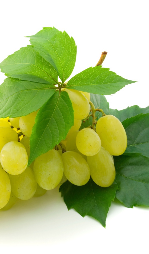 Белый виноград с зелеными листьями на белом фоне