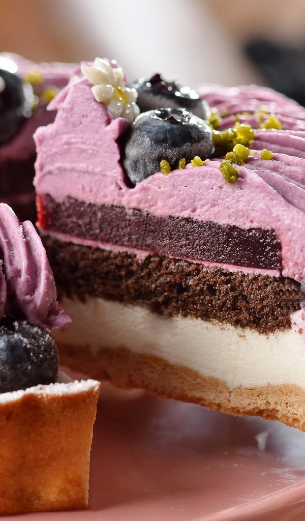 Кусок пирога с творогом, суфле и ягодами черники 