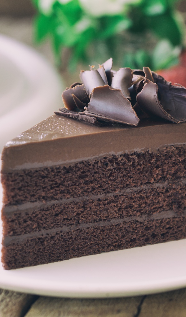 Кусок торта с шоколадом на белой тарелке