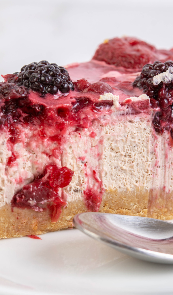 Кусок вкусного чизкейка с ягодами черники 