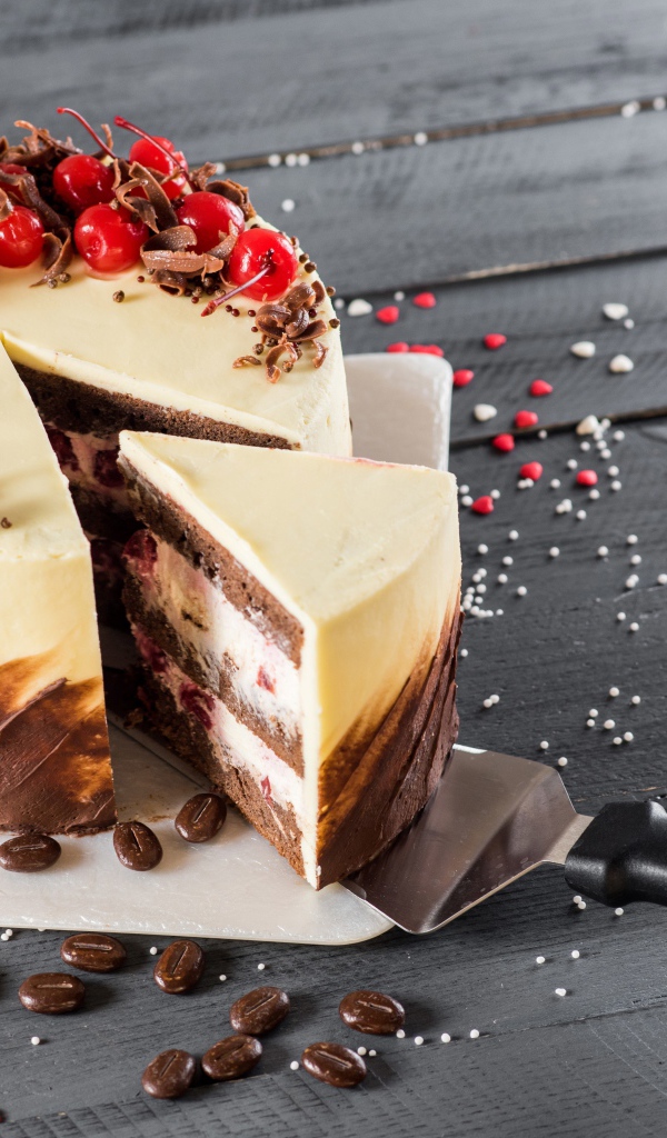 Аппетитный праздничный торт с шоколадом и ягодами вишни 