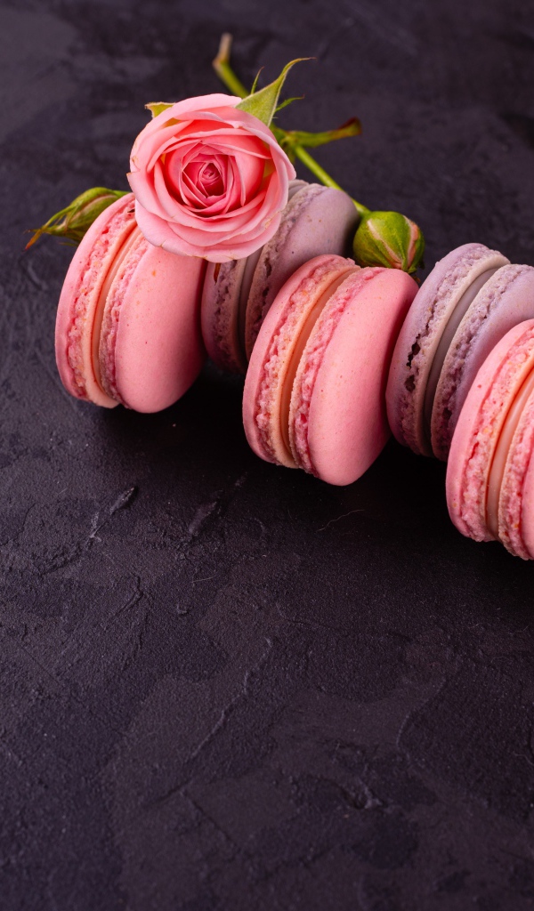 Аппетитный сладкий десерт макарон на серой поверхности с розой 
