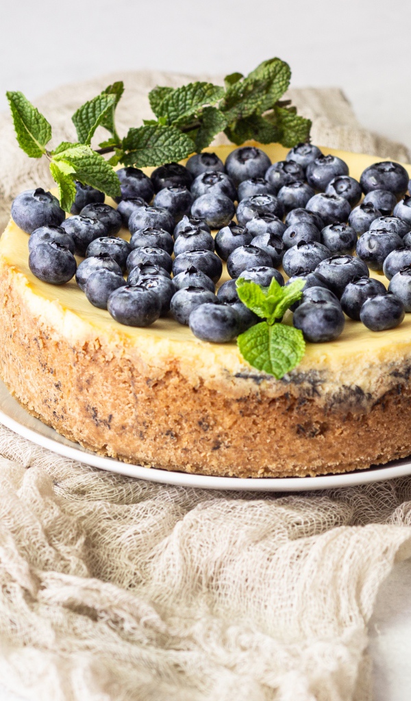 Аппетитный вкусный пирог с черникой и мятой