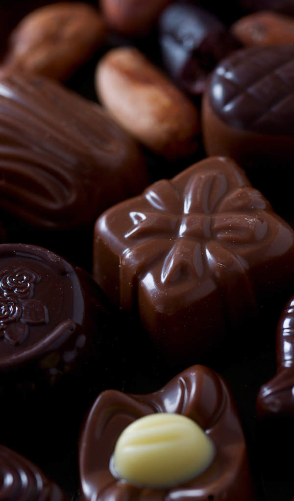 Красивые шоколадные конфеты ассорти крупным планом