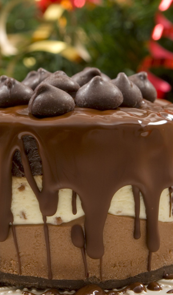 Красивый торт три шоколада на Новый год 