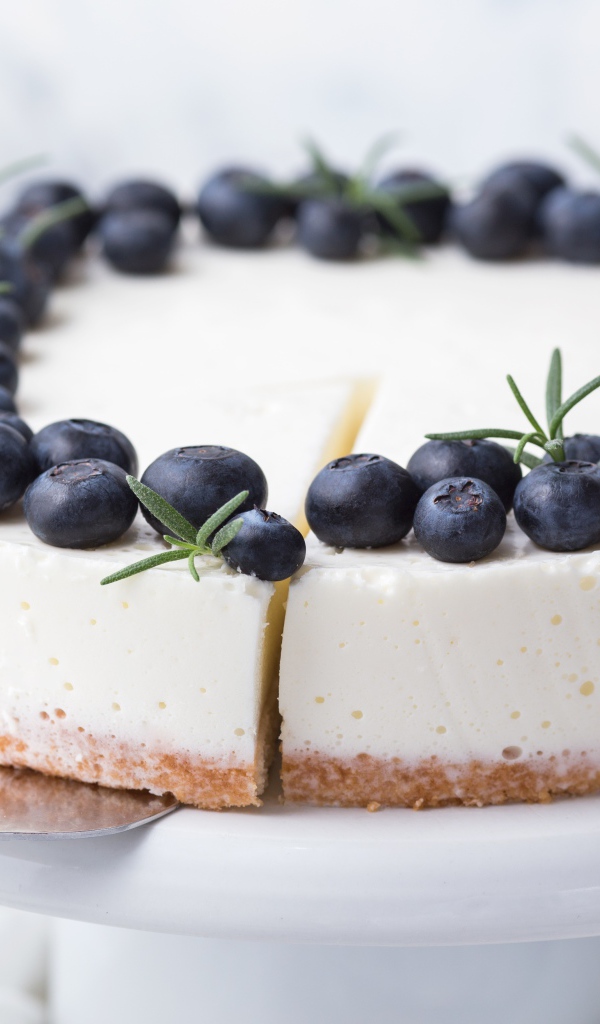 Чизкейк на блюде с ягодами черники 