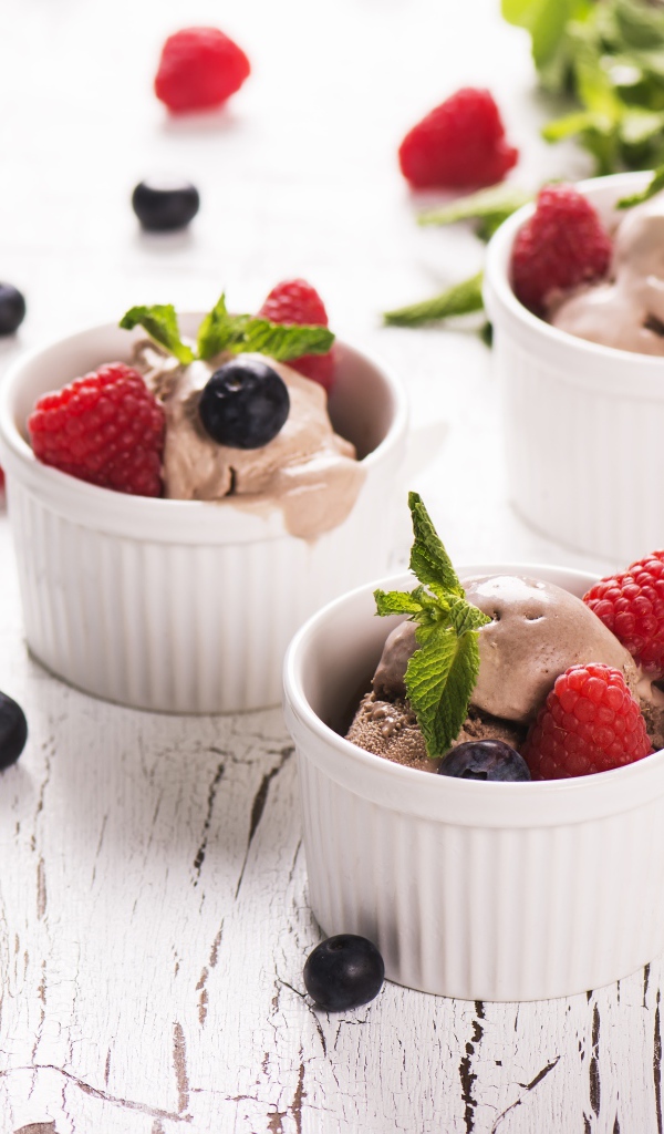 Шоколадное мороженое с ягодами черники и малины 