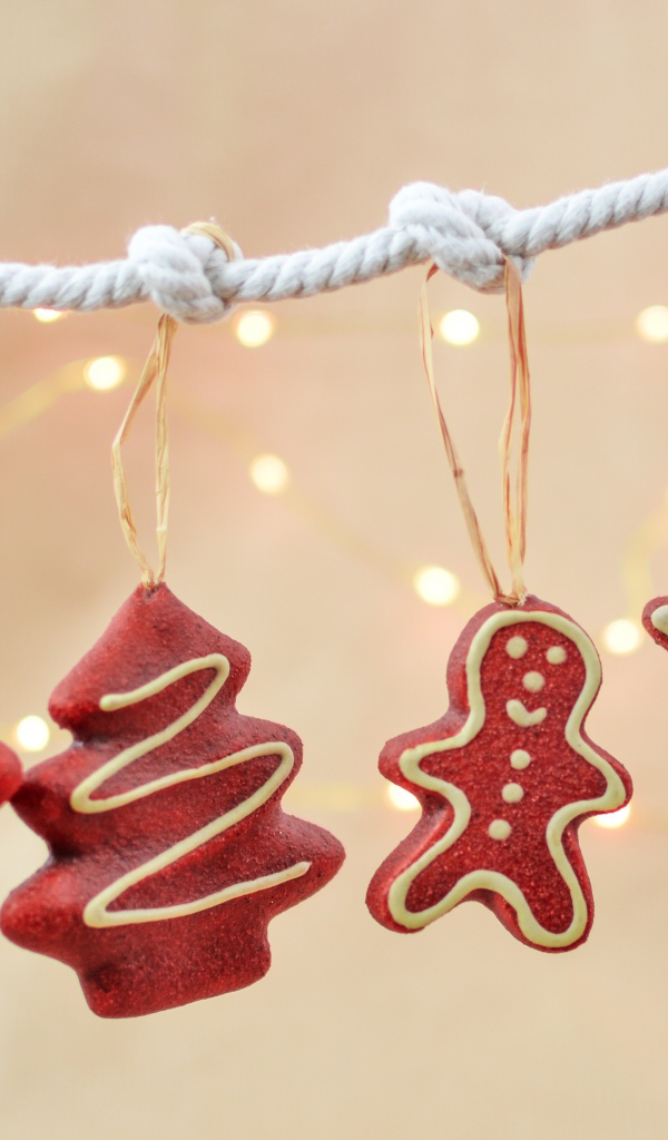 Новогоднее печенье на веревке 