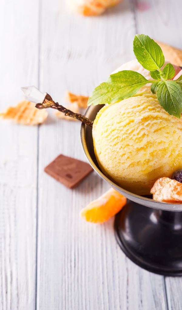 Шарики фруктового мороженого в креманке с ягода