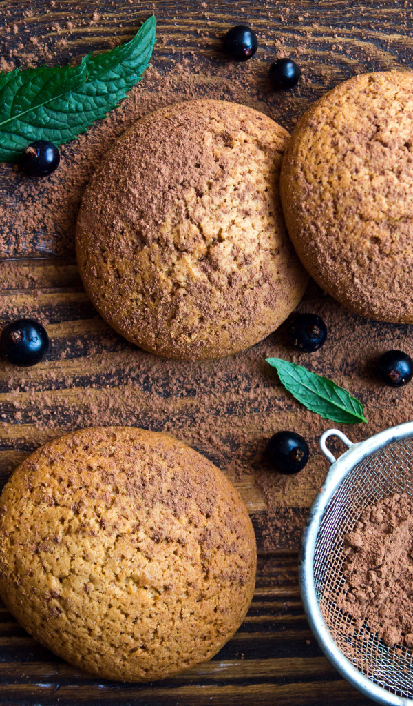 Овсяное печенье с черной смородиной, листьями мяты и какао на столе