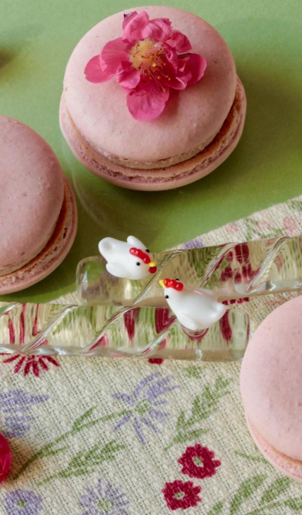 Розовый десерт макарон на столе с белыми цветами ромашек