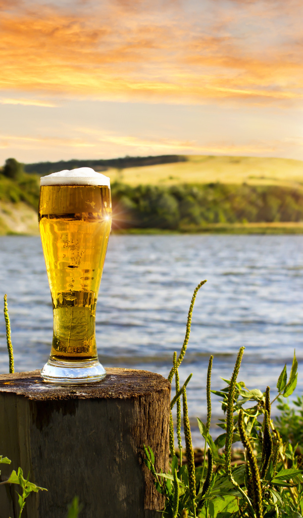 Бокал пива стоит на пне у воды 